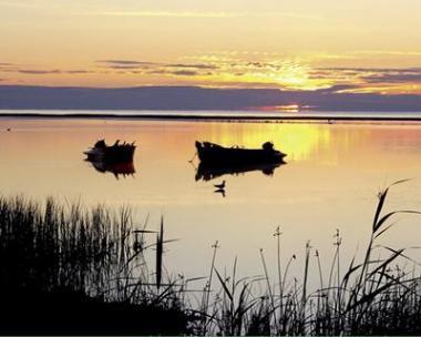 delta - peisajdelta4e3c2bb.jpg